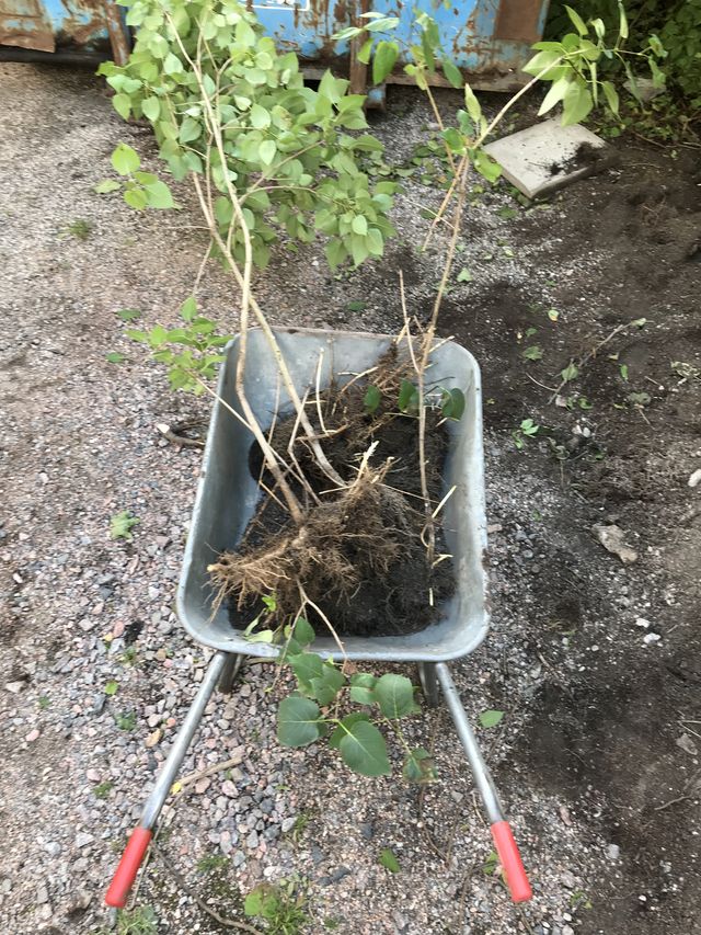 20180923_103805518_iOS_9-23-2018 1-38-05 PM_small