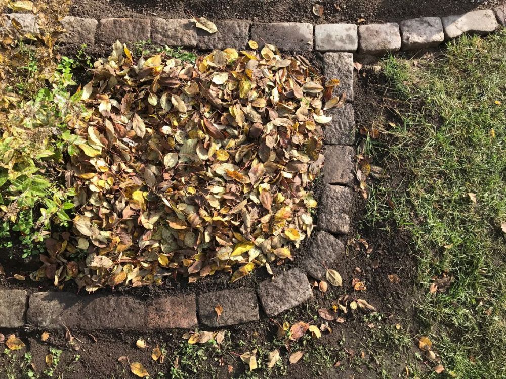 IMG_4413_9-29-2018 12-11-19 AM_small